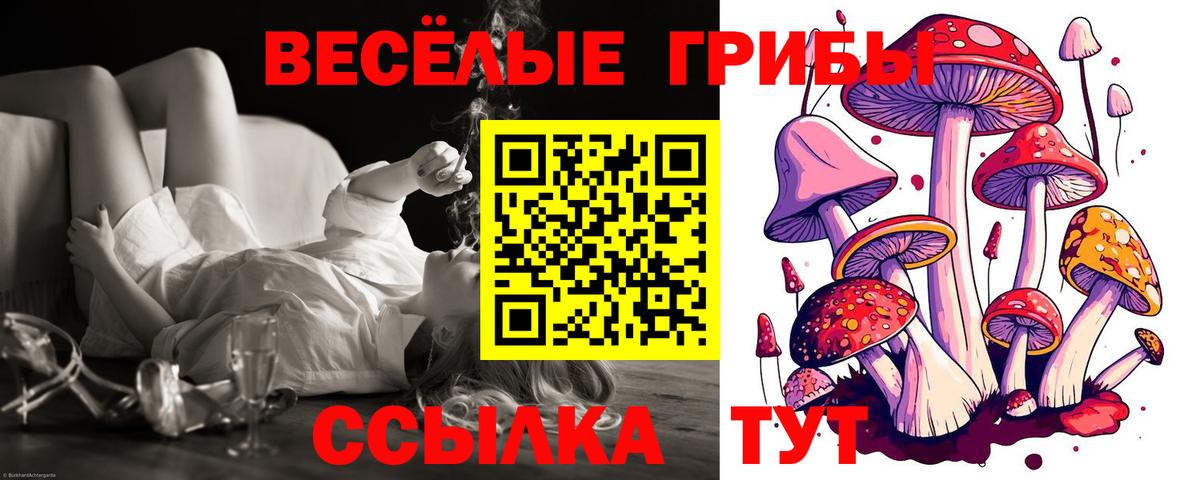 Псилоцибиновые грибы Cubensis Калуга